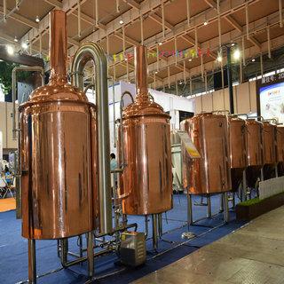 300L酒(jiu)店(dian)紫銅啤(pi)酒(jiu)設備(bei)